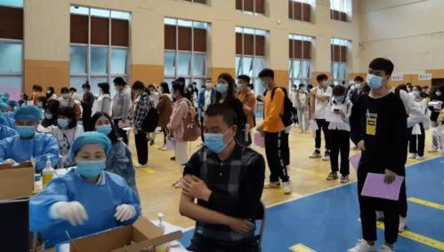 第五大道爆料最新消息视频,最新爆料视频深度解析  第3张